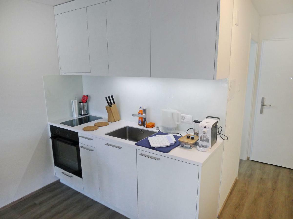 Apartment Superior By Interhome ルツェルン エクステリア 写真